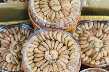 Hộp nhựa PS có gì vượt trội so với hộp nhựa dẻo?